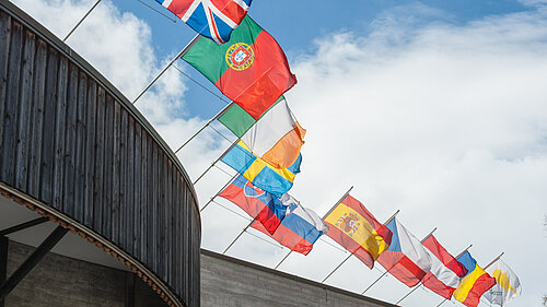 European Flags